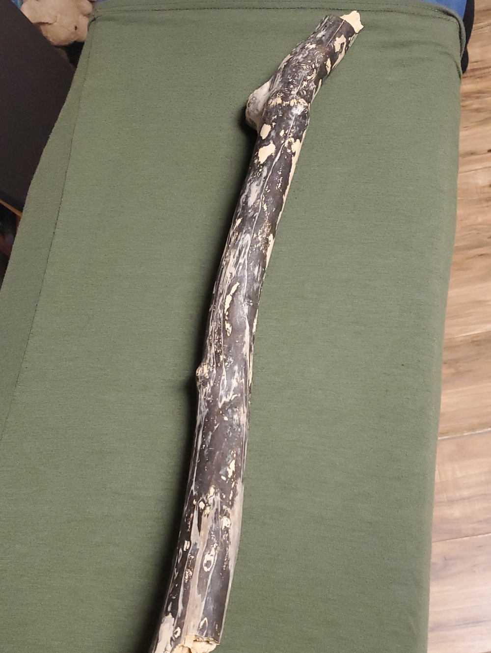 Decorative Driftwood Accent Branch in Black and Cream